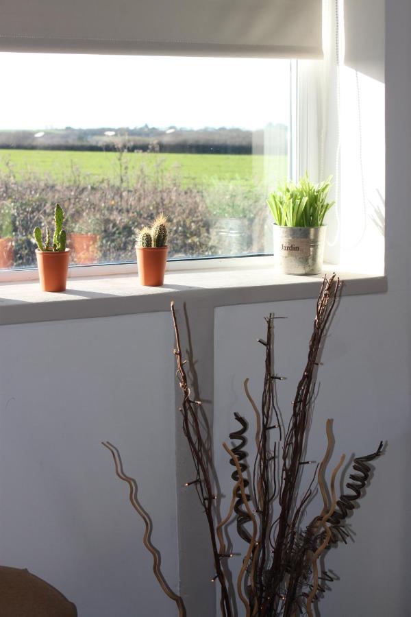 Beautiful Barn Conversion, 3 Bed, Hot Tub, Sauna, Gym, Enclosed Garden Ryde  Exterior photo